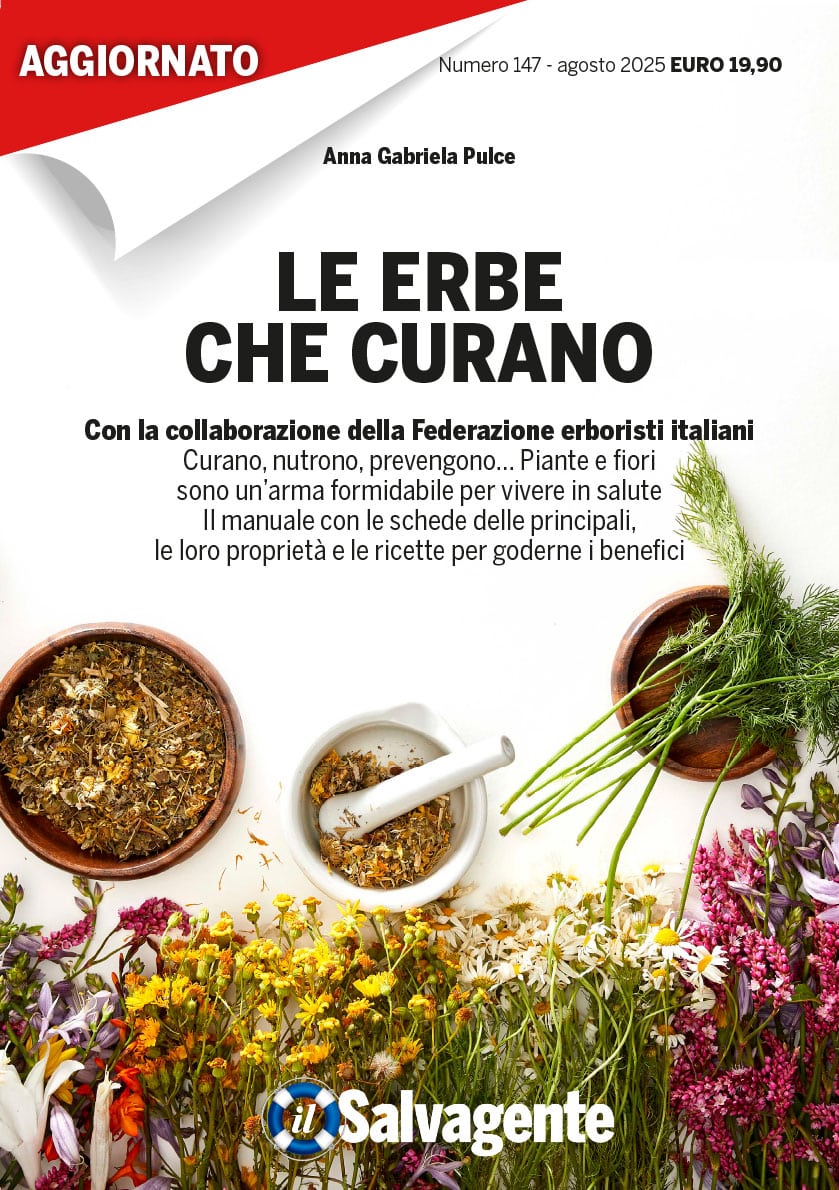 LE ERBE CHE CURANO (AGGIORNATO)