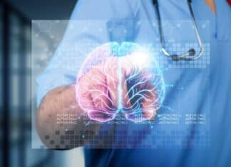 Studio dell’università di Bologna rivela: l’aumento di peso fa invecchiare il cervello