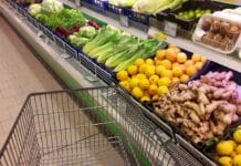Lo studio: una dieta sana costa fino a 200 euro al mese gdo spesa dieta