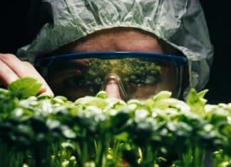 Con lo sdoganamento dei nuovi Ogm a rischio piccoli aziende agricole e sementiere. L’appello di 16 organizzazioni ogm