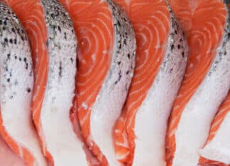 Salmone, l’accusa di Foodwatch: “La promessa di trasparenza Asc resta sulla carta” SALMONE ASC