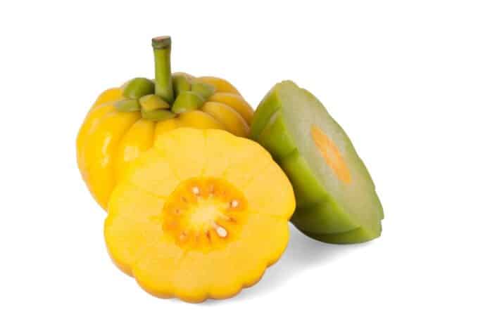 Garcinia Cambogia GARCINIA CAMBOGIA