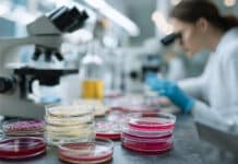 Allarme dell’Oms: un’infezione su sei resistente agli antibiotici (inefficaci oltre il 40%)