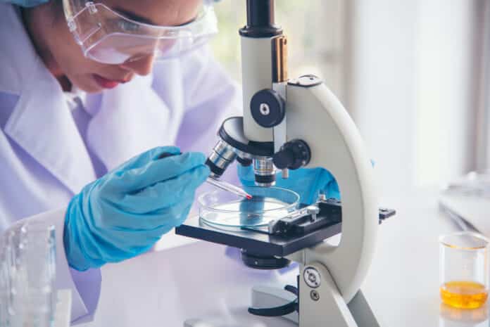 ANTIBIOTICI BATTERIO KILLERWoman scientist in lab look at science microscope medical test and research biology chemistry. Females technician laboratory analyzing scientific pharmacy genetic research. Chemistry Medical test lab ANTIBIOTICI BATTERIO KILLER