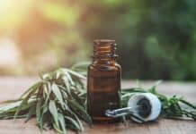 Cannabis light vietata, il Consiglio di Stato rinvia alla Corte Ue la decisione sul ricorso cannabis
