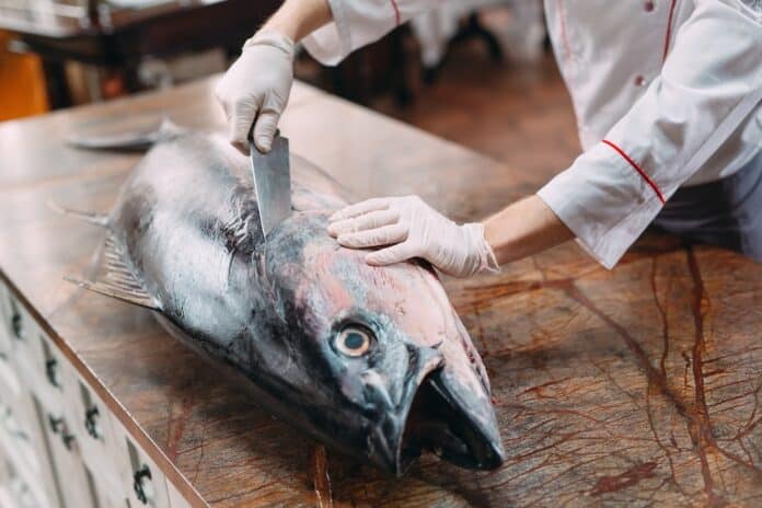 The chef cut up a big Tuna fish in the restaurant. TONNO FRESCO MERCURIO
