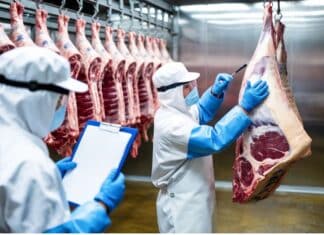 Carne e uova: dimezzata la frequenza dei controlli dal 1° gennaio 2026 CARNE