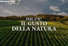 La tecnologia al servizio della trasparenza: il modello Ponti tra blockchain e valore di filiera