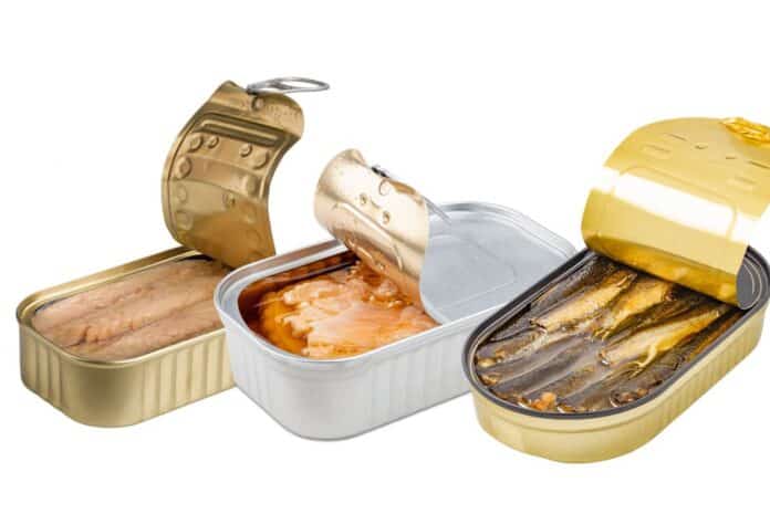 Untitled design SGOMBRO SARDINE SALMONE IN SCATOLA