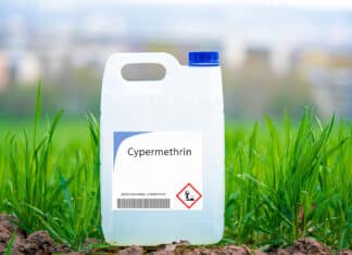 Pesticidi, Corte Ue: “Bruxelles ha riapprovato la Cipermetrina senza prove di sicurezza” PESTICIDI CIPERMETRINA