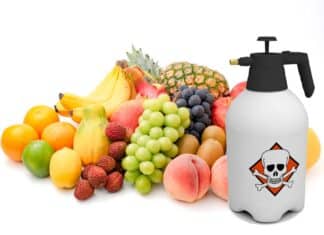 Pompelmi e uva in cima alla “sporca dozzina” delle contaminazioni da pesticidi PESTICIDI POMPELIMI UVA