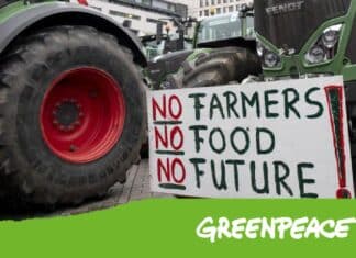 GREENPEACE PAC BONIFICHE FERRARESI