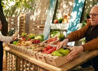 Cambiamenti climatici, lo studio che mostra come si stanno impoverendo i nostri cibi CAMBIAMENTI CLIMATICI