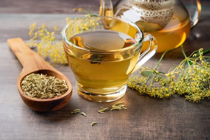 Herbal infusion fennel tea in glass cup and glass tea pot with dried fennel seeds in wooden shovel. Herbal tea alternative medicine background concept. FINOCCHIO