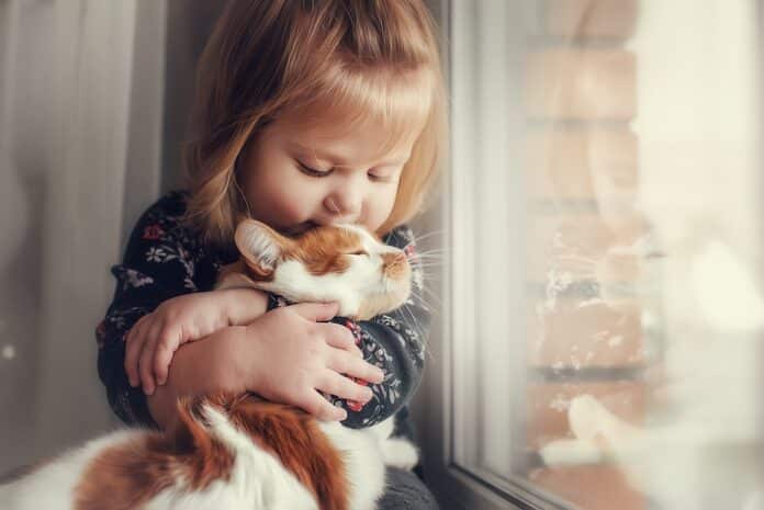 A small cute child with naked hair gently embraces a red fluffy cat ANIMALI FANNO BENE AI BAMBINI