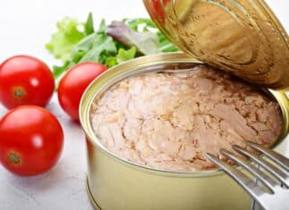 Metilmercurio nel pesce, l’allarme tedesco: rischi per gravidanza e infanzia TONNO MERCURIO