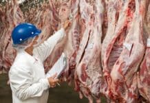 Lo studio su carne e greenwashing: solo il 2% delle promesse è verificabile carne