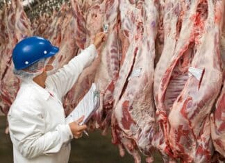 Lo studio su carne e greenwashing: solo il 2% delle promesse è verificabile carne