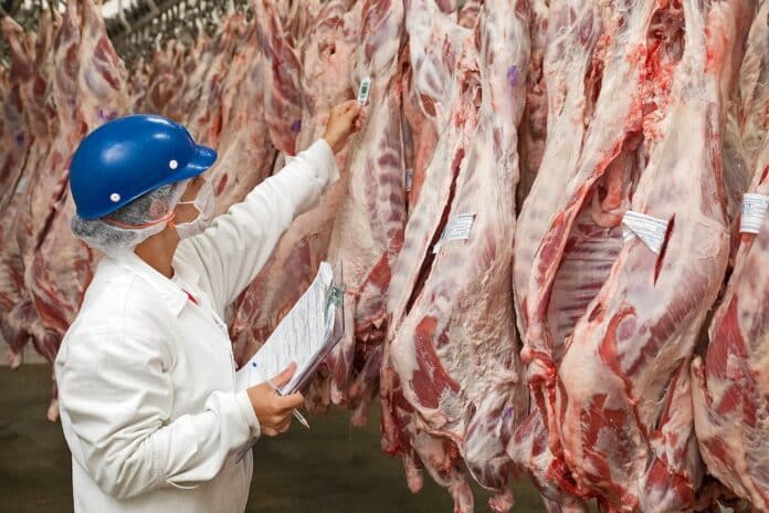 Brazil's largest processed meat exporters carne