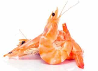 GAMBERI
