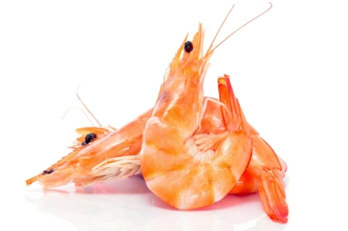 shrimps GAMBERI