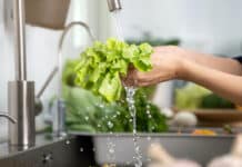 “L’insalata in busta va lavata per essere più sicuri?”