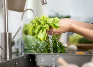 “L’insalata in busta va lavata per essere più sicuri?”