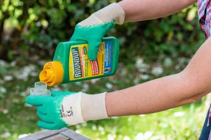 Paris, France - August 15, 2018 : Gardener using Roundup herbicide in a french garden. Roundup is a brand-name of an herbicide containing glyphosate, made by Monsanto Company.