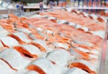 Pesce gonfiato con acqua, l’Europa accende i fari sulle frodi pesce acqua