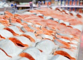 Pesce gonfiato con acqua, l’Europa accende i fari sulle frodi pesce acqua