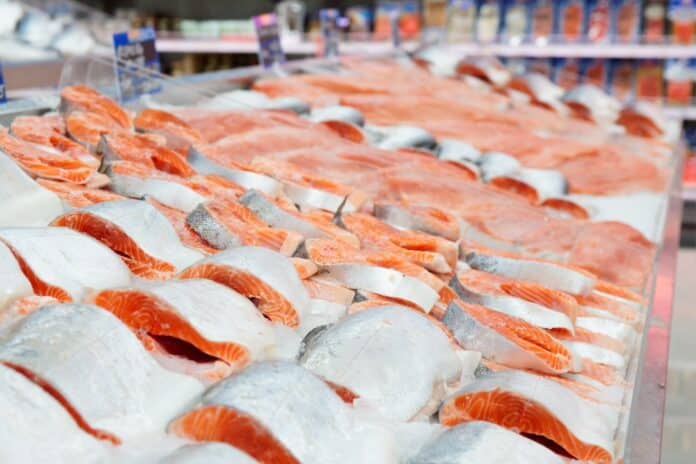Salmon on cooled market display pesce acqua