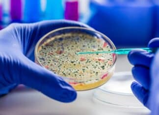 La Commissione Ue vuole liberalizzare anche i microrganismi geneticamente modificati microrganismi