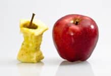 Frutta e verdura più povere di vitamine e minerali: cosa succede ai nostri alimenti FRUTTA E VERDURA