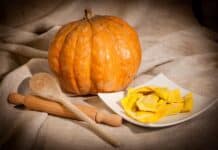 Ravioli di zucca a confronto: ripieni, ingredienti ed etichette