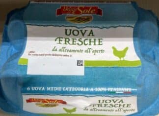 Salmonella: Eurospin richiama uova Delizie del sole. Ma l’avviso arriva in ritardo
