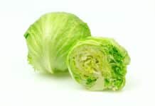 Cyclospora nella lattuga, oltre 6mila casi e 2 morti negli Usa CYCLOSPORA LATTUGA ICEBERG STATI UNITI