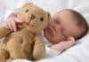 Pfas in tutti i peluche analizzati, lo studio sul rischio per i bambini BAMBINI PELUCHE PFAS