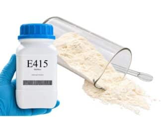 Nuovi dubbi sull’E415: gli studi lo collegano all’infiammazione intestinale E415 XANTAN GUM