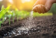 Per i giudici il concime bio era un “pesticida mascherato”: multinazionale perde contro azienda abruzzese pesticida